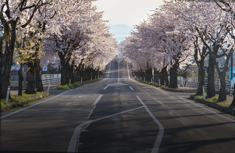 Le Japon : le dépaysement total sans le stress